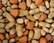 Pet food photo